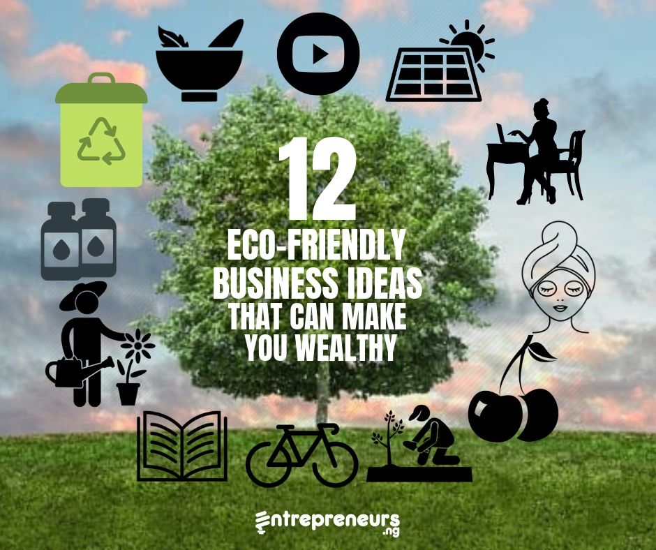 Eco-Friendly Business Ideas That Can Make You Wealthy In Months