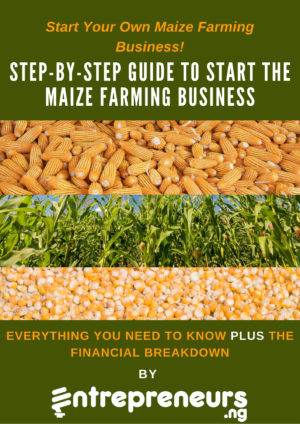 Start Your Own Maize Farming Business