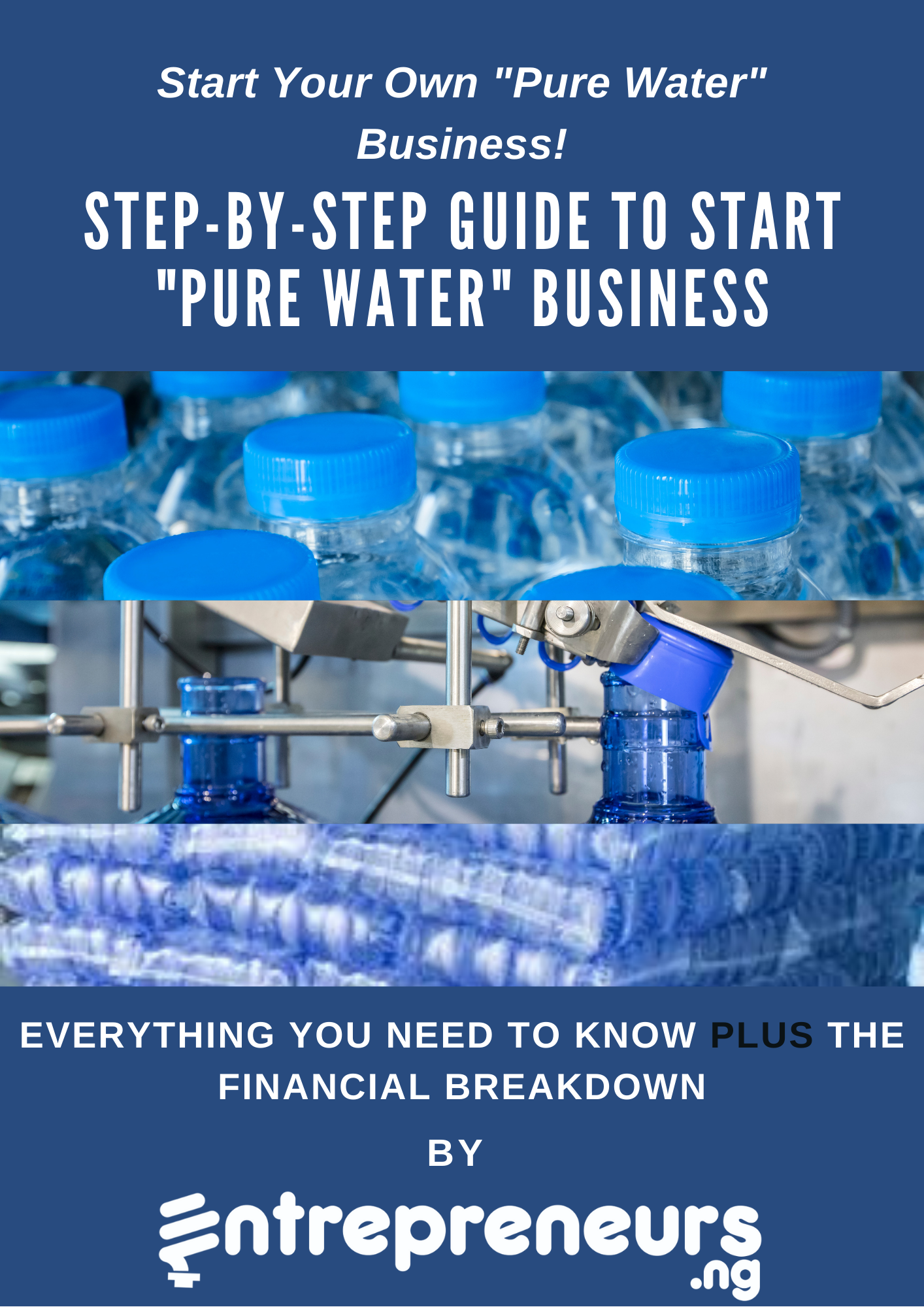 free pdf on pure water business plan