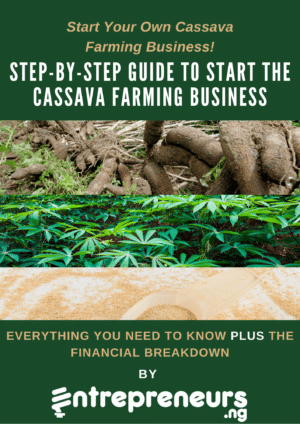 How to start a cassava farming business