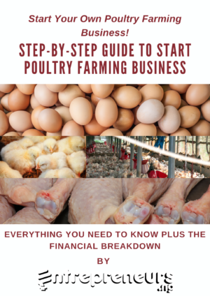 Start Your Own Poultry Farming Business