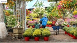 Gardening business