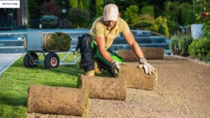landscaping business