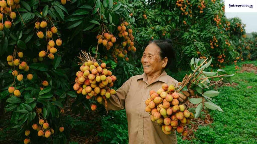 How to make money farming